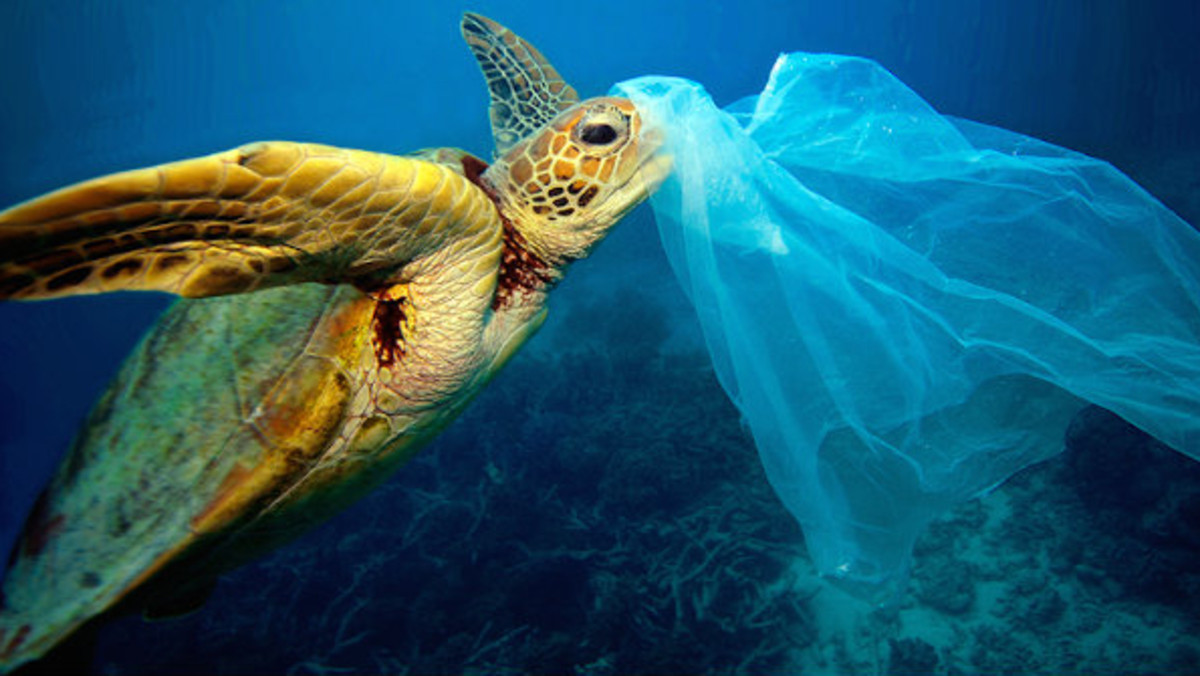 5 آلاف مليار كيس بلاستيكي ترمى سنويا حول العالم