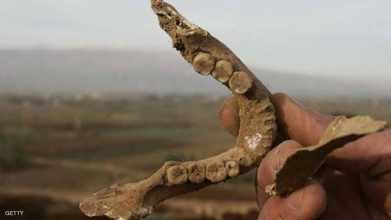 مقبرة "البانوراما" الجماعية في الرقة تكشف عن جثث جديدة