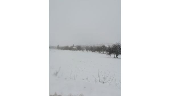 "راس منيف" في عجلون الاكثر امطارا وثلوجا