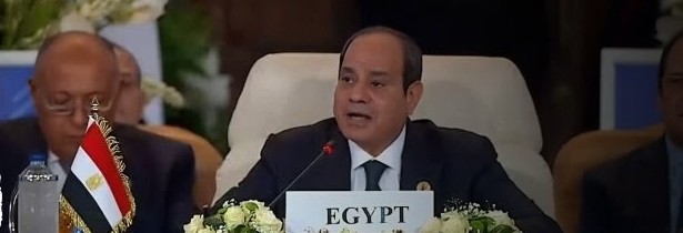 قمة بدون بيان ختامي.. تعرف على الجملة التي سببت خلافا حادا بين القادة العرب والمسؤولين الأوروبيين في القاهرة 